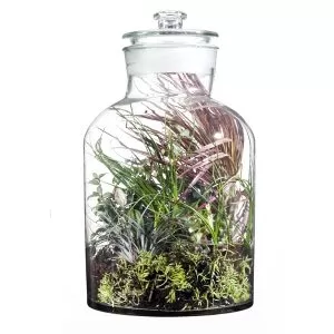 Glass Jar- 25 Litre